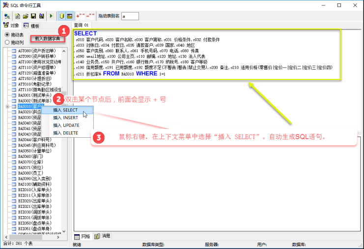 erp系统开发-SQL工具